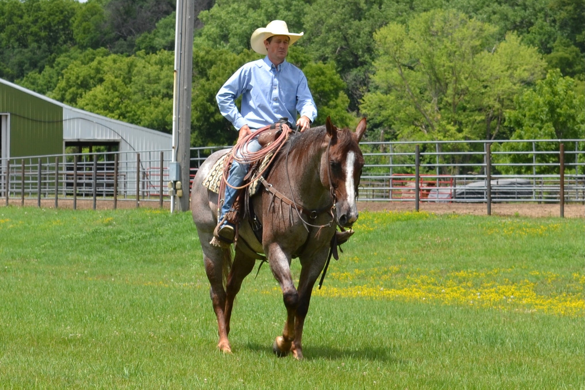 Peppy's Running Leo Hanson Horse Ranch & Farrier Supply Store