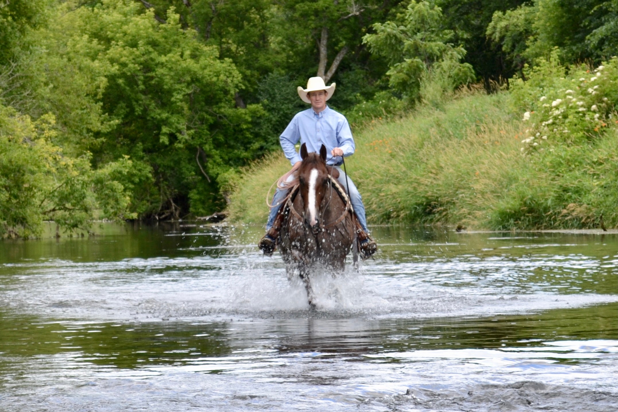 Peppy's Running Leo | Hanson Horse Ranch & Farrier Supply Store